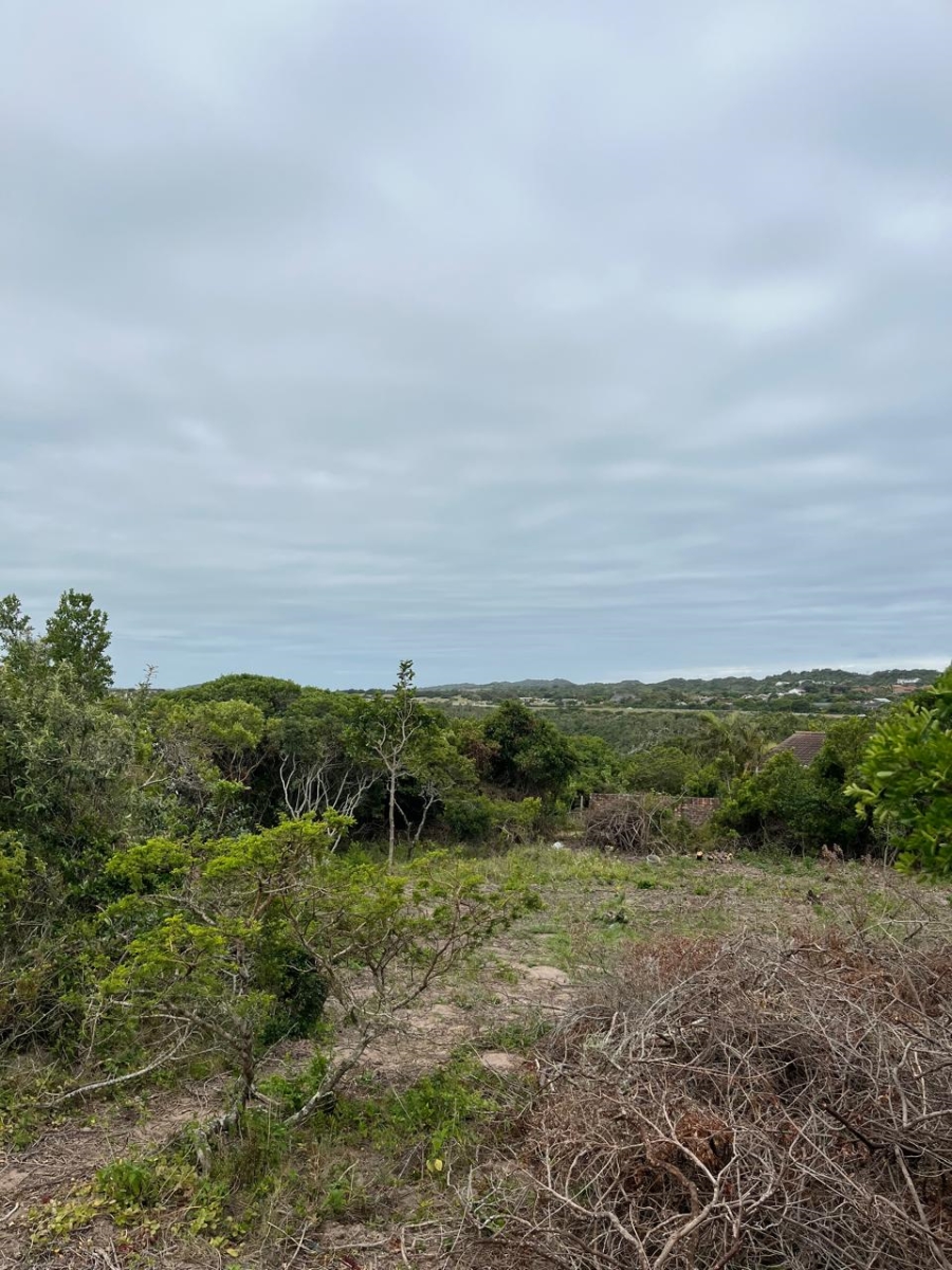 0 Bedroom Property for Sale in Kleinemonde Eastern Cape